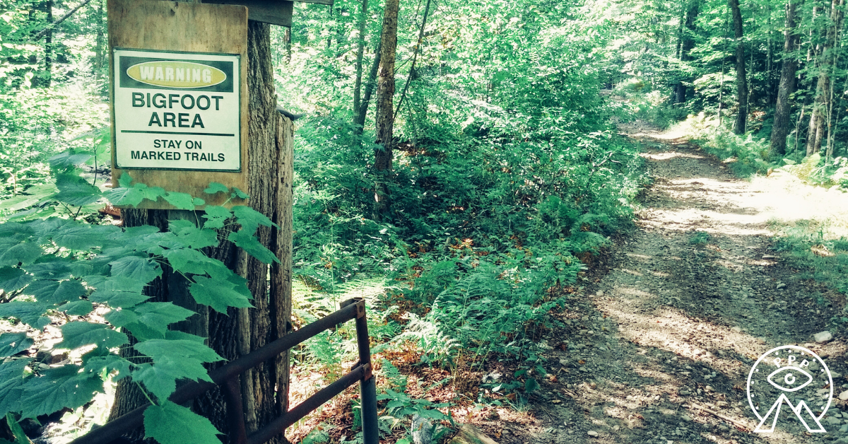 Bigfoot Conspiracy